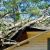 Holly Springs Fallen Tree Damage by MRS Restoration
